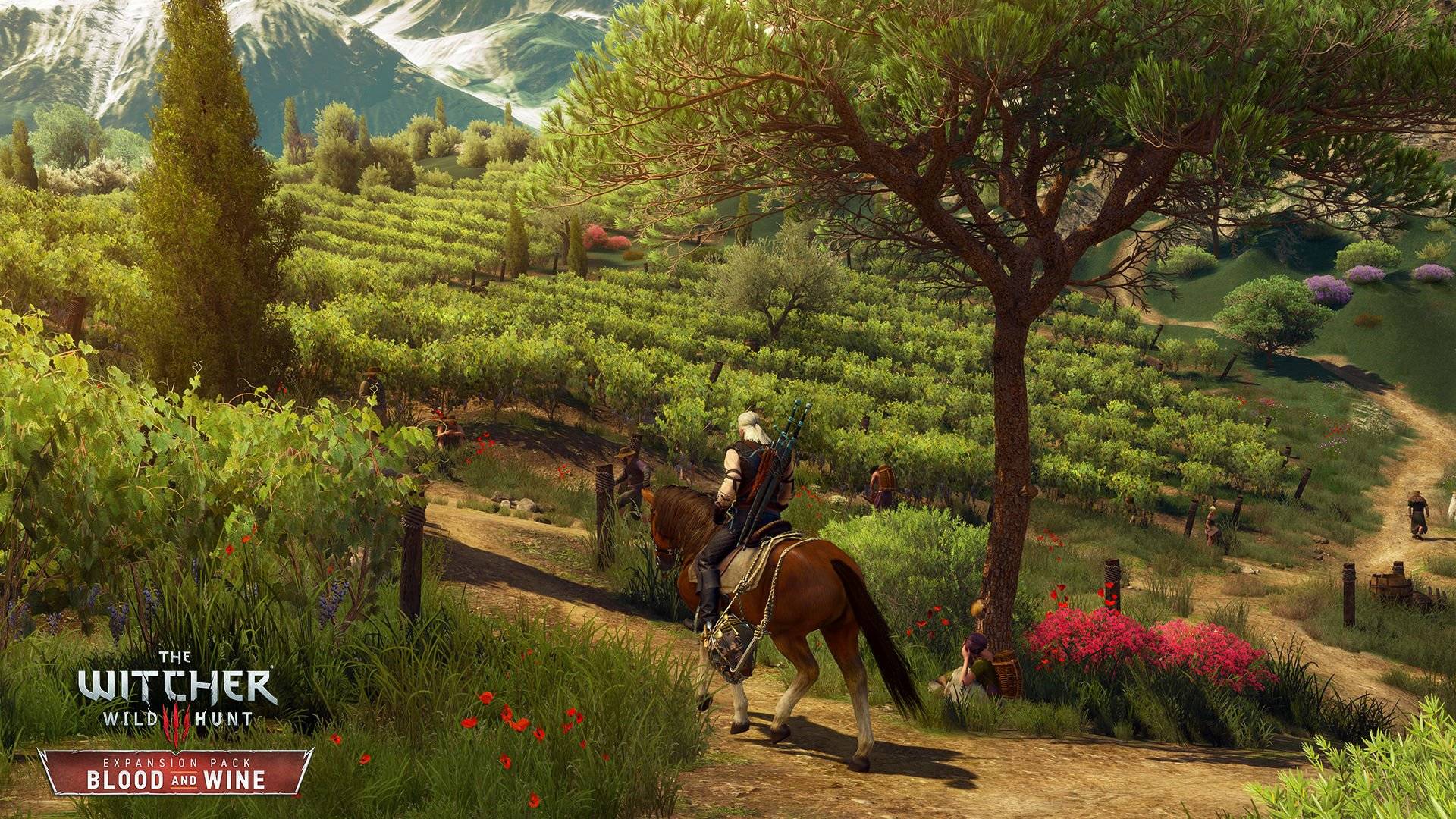 The Witcher 3: Wild Hunt - Blood & Wine - Imagen 41